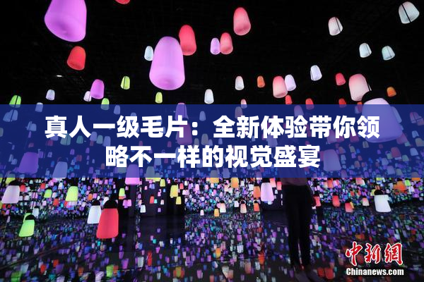 真人一级毛片：全新体验带你领略不一样的视觉盛宴
