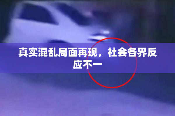 真实混乱局面再现，社会各界反应不一