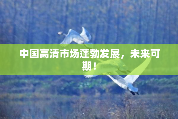 中国高清市场蓬勃发展，未来可期！