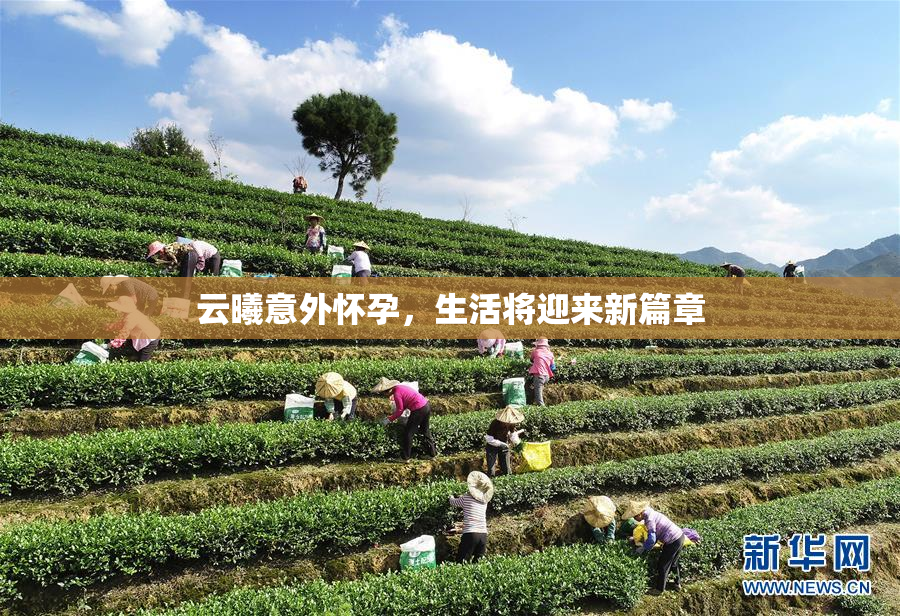 云曦意外怀孕，生活将迎来新篇章