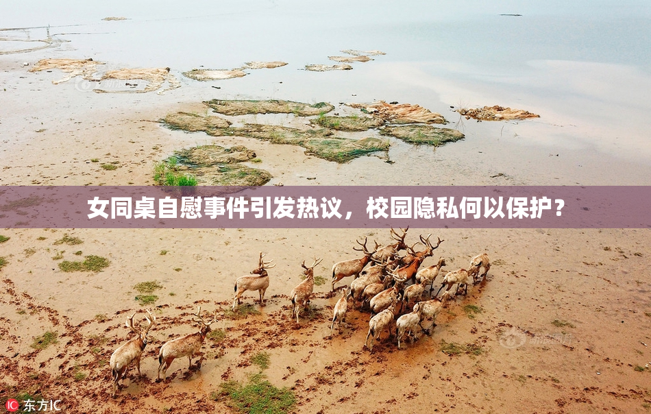女同桌自慰事件引发热议，校园隐私何以保护？