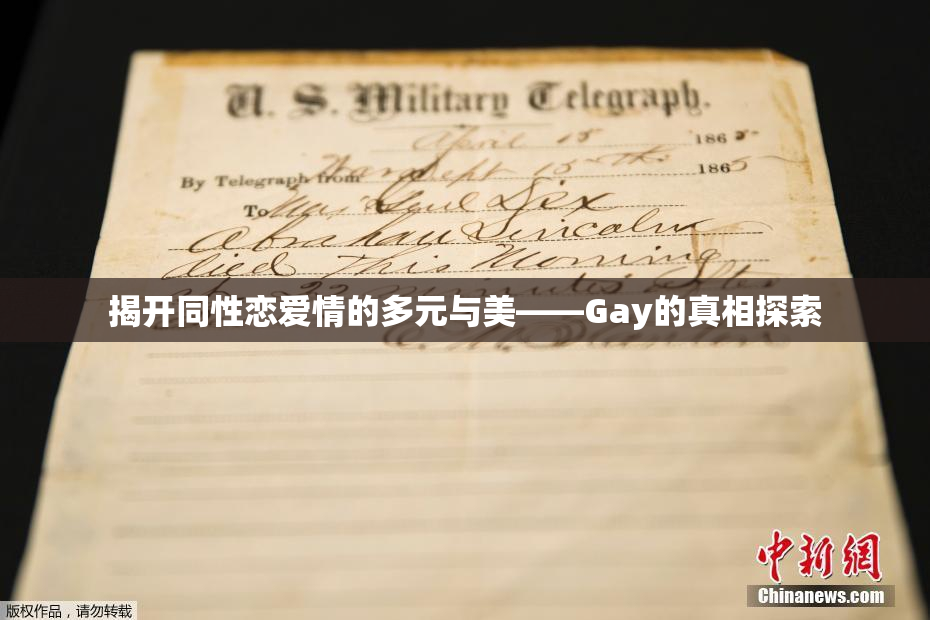 揭开同性恋爱情的多元与美——Gay的真相探索