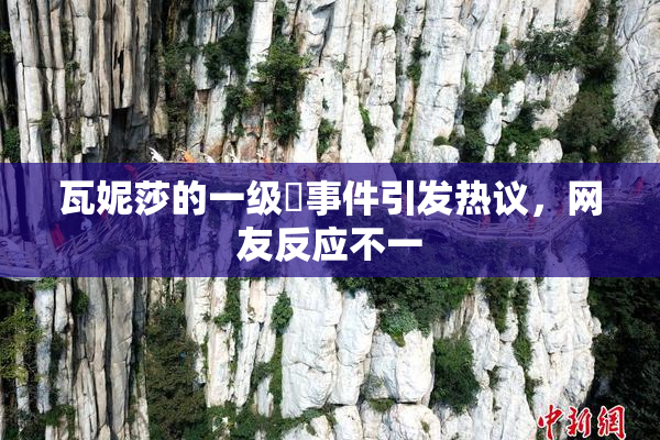 瓦妮莎的一级婬事件引发热议，网友反应不一