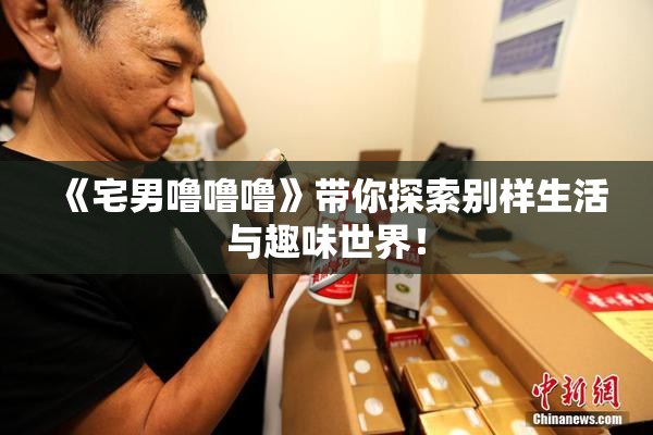 《宅男噜噜噜》带你探索别样生活与趣味世界！