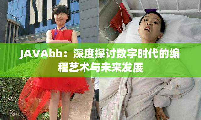 JAVAbb：深度探讨数字时代的编程艺术与未来发展