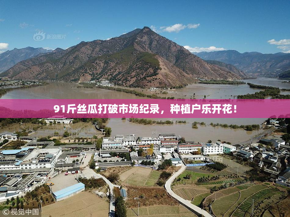 91斤丝瓜打破市场纪录，种植户乐开花！