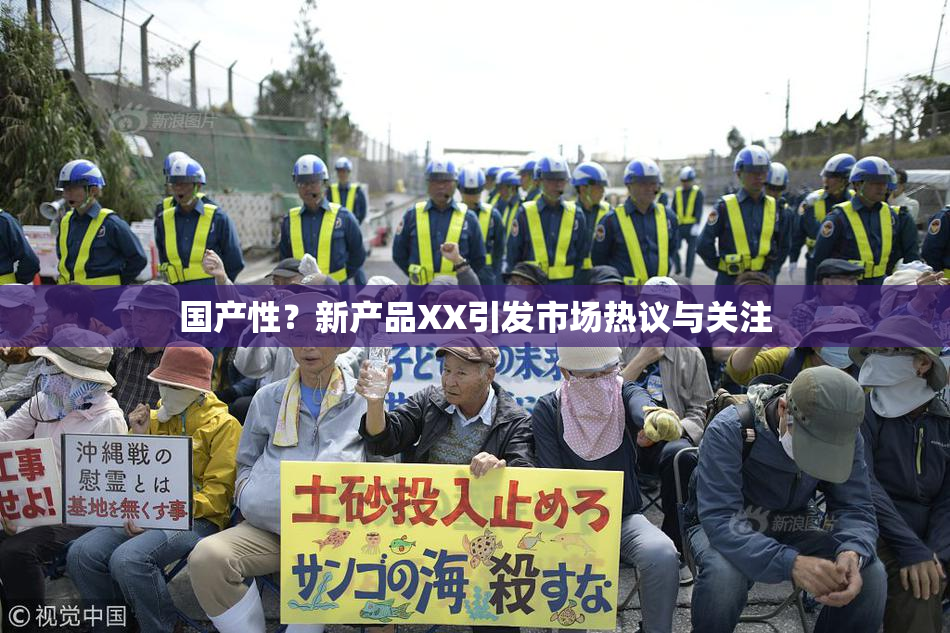 国产性？新产品XX引发市场热议与关注