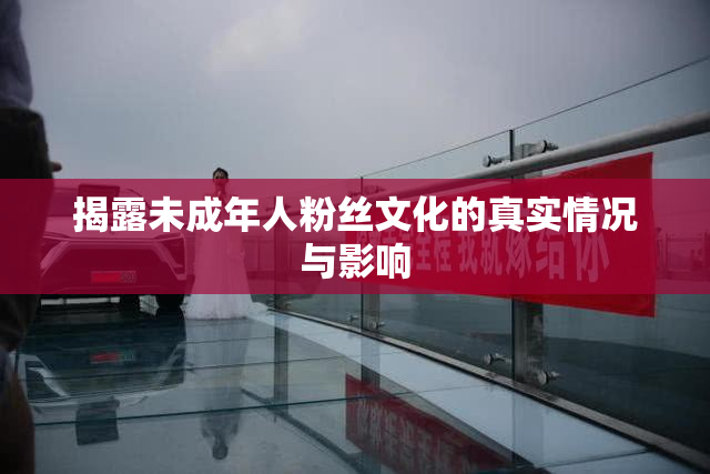 揭露未成年人粉丝文化的真实情况与影响