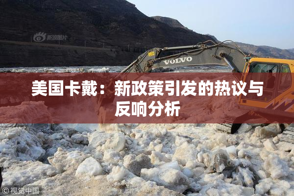 美国卡戴：新政策引发的热议与反响分析