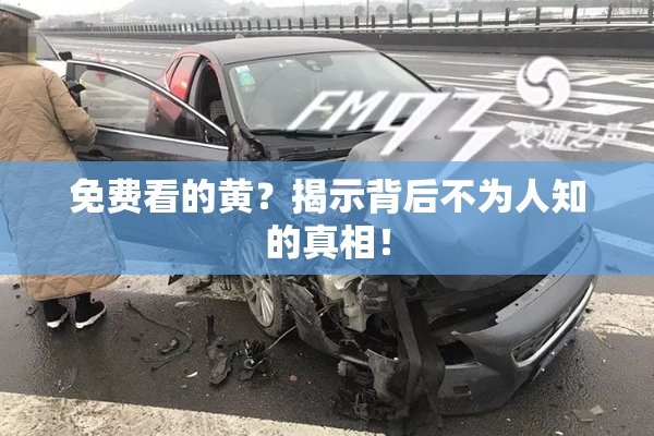 免费看的黄？揭示背后不为人知的真相！