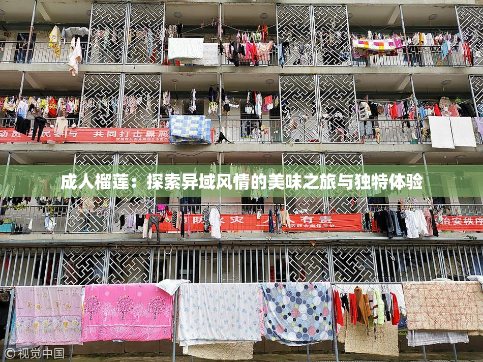 成人榴莲：探索异域风情的美味之旅与独特体验