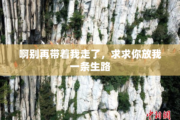 啊别再带着我走了，求求你放我一条生路