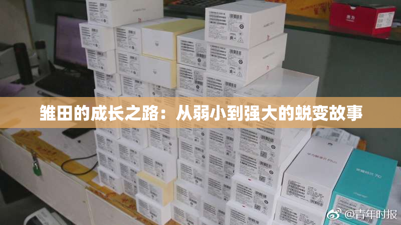 雏田的成长之路：从弱小到强大的蜕变故事