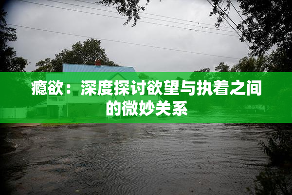 瘾欲：深度探讨欲望与执着之间的微妙关系