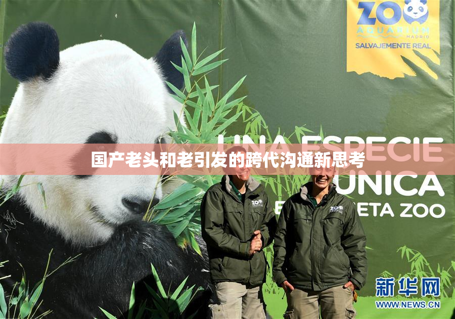 国产老头和老引发的跨代沟通新思考