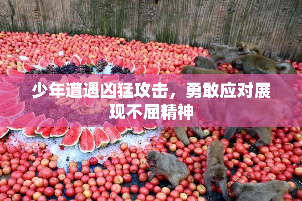 少年遭遇凶猛攻击，勇敢应对展现不屈精神