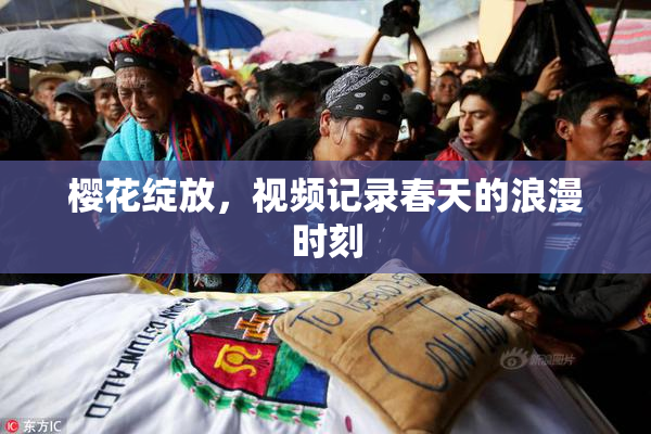 樱花绽放，视频记录春天的浪漫时刻