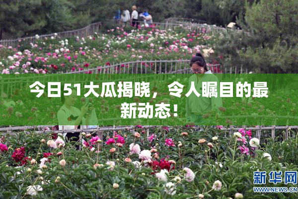 今日51大瓜揭晓，令人瞩目的最新动态！