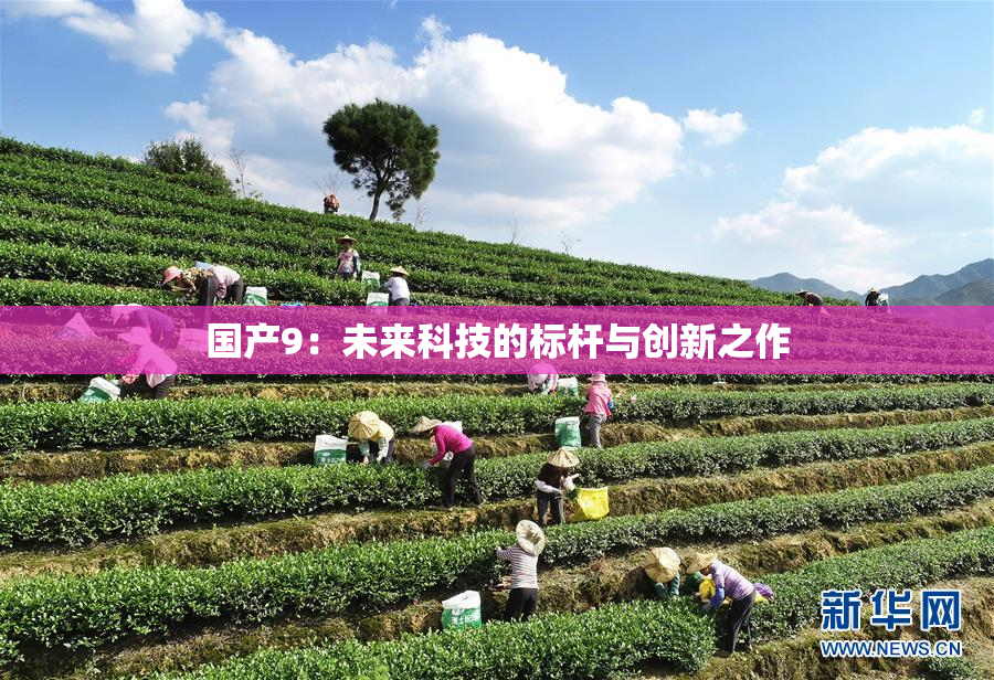 国产9：未来科技的标杆与创新之作