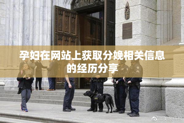 孕妇在网站上获取分娩相关信息的经历分享