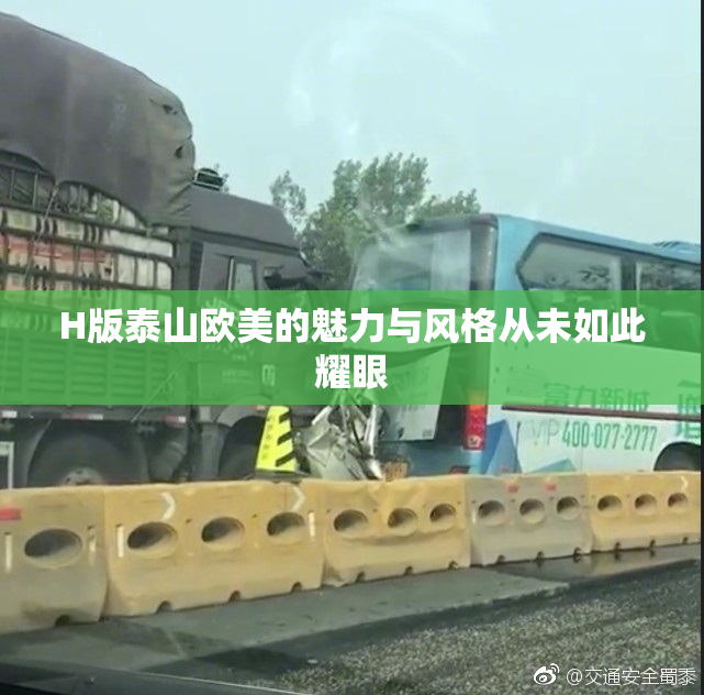 H版泰山欧美的魅力与风格从未如此耀眼