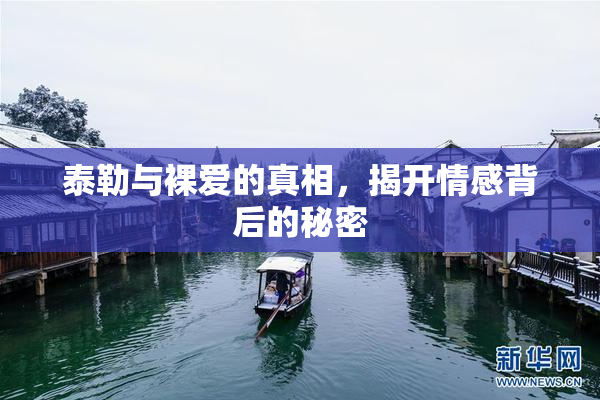 泰勒与裸爱的真相，揭开情感背后的秘密