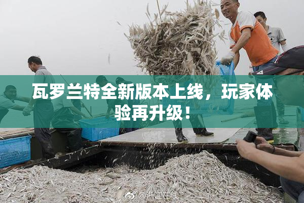 瓦罗兰特全新版本上线，玩家体验再升级！
