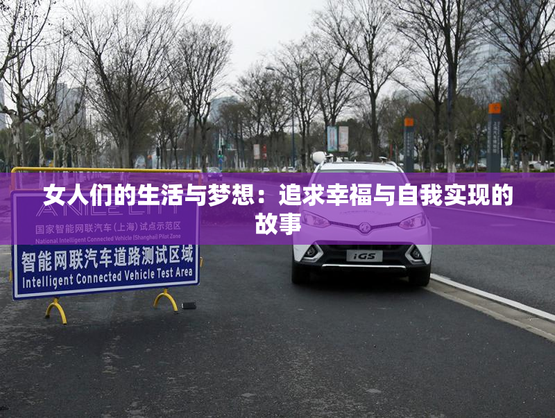女人们的生活与梦想：追求幸福与自我实现的故事