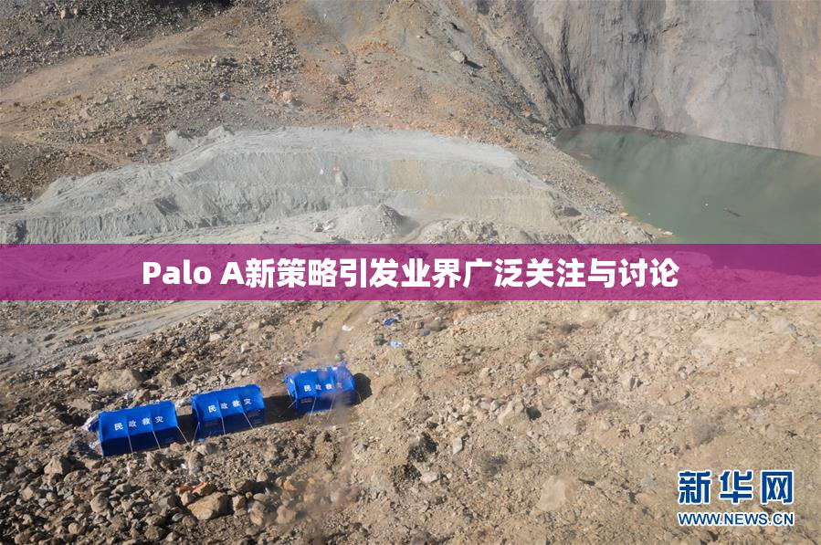 Palo A新策略引发业界广泛关注与讨论
