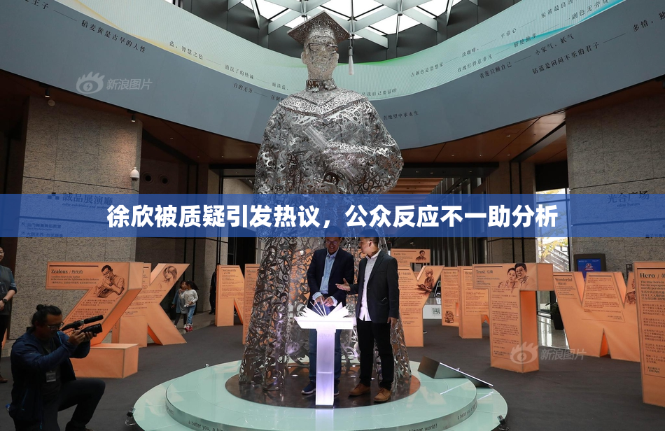 徐欣被质疑引发热议，公众反应不一助分析