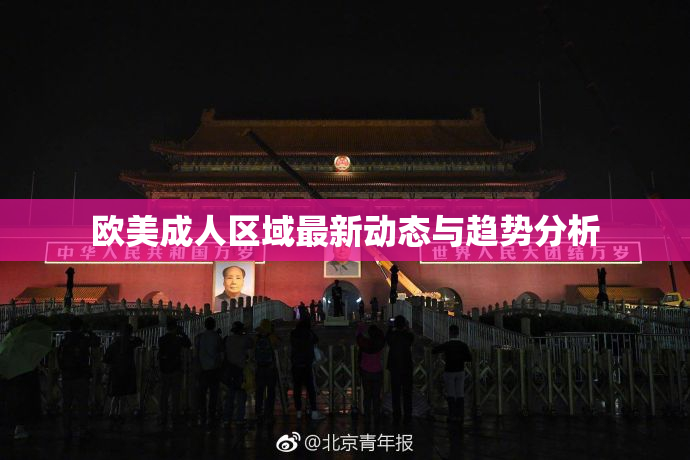 欧美成人区域最新动态与趋势分析