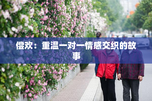 偿欢：重温一对一情感交织的故事