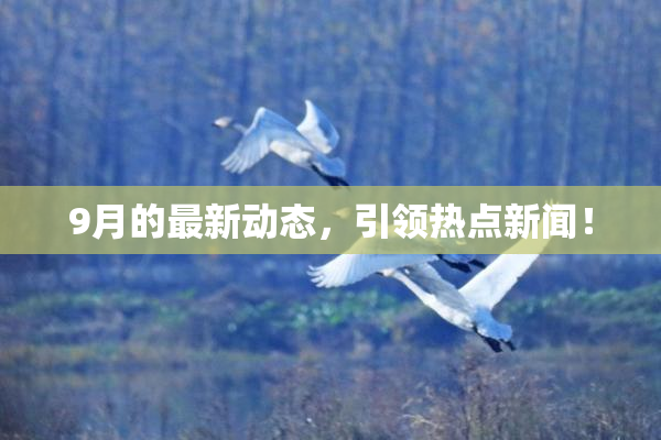 9月的最新动态，引领热点新闻！