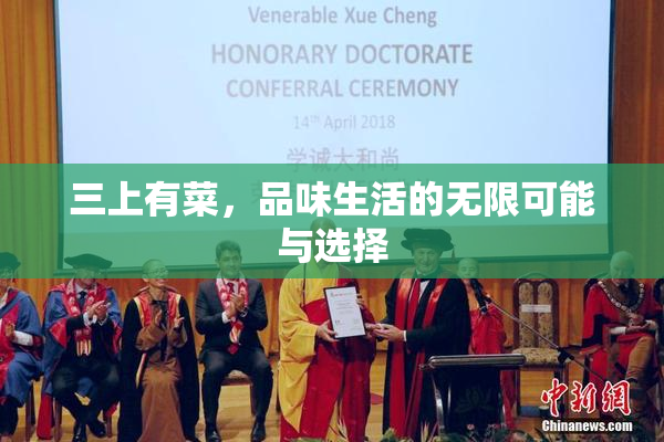三上有菜，品味生活的无限可能与选择