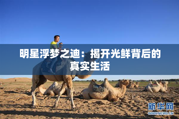 明星浮梦之迪：揭开光鲜背后的真实生活