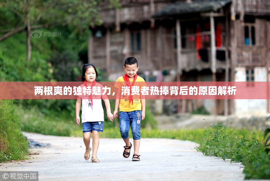 两根爽的独特魅力，消费者热捧背后的原因解析