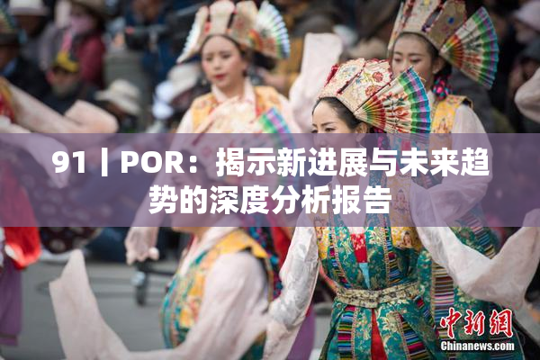91丨POR：揭示新进展与未来趋势的深度分析报告