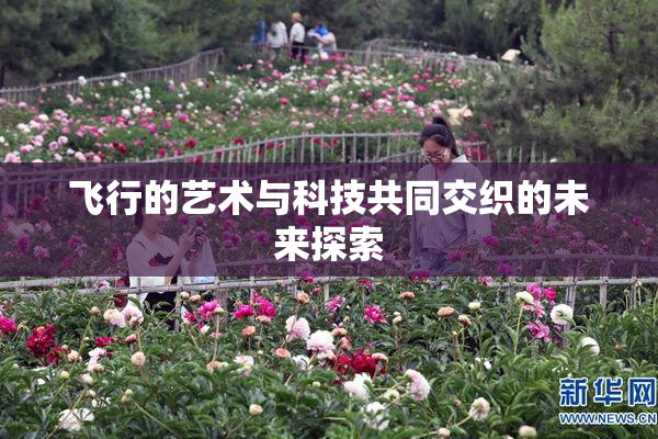 飞行的艺术与科技共同交织的未来探索
