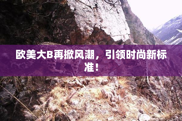 欧美大B再掀风潮，引领时尚新标准！