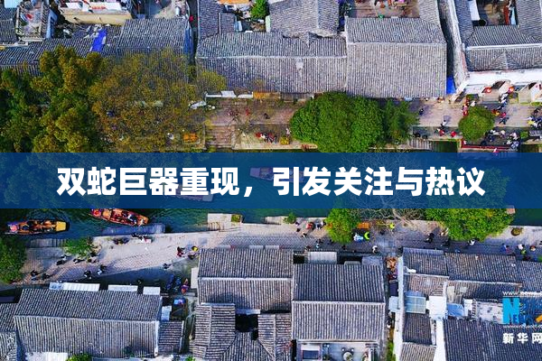 双蛇巨器重现，引发关注与热议