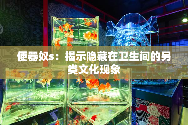 便器奴s：揭示隐藏在卫生间的另类文化现象