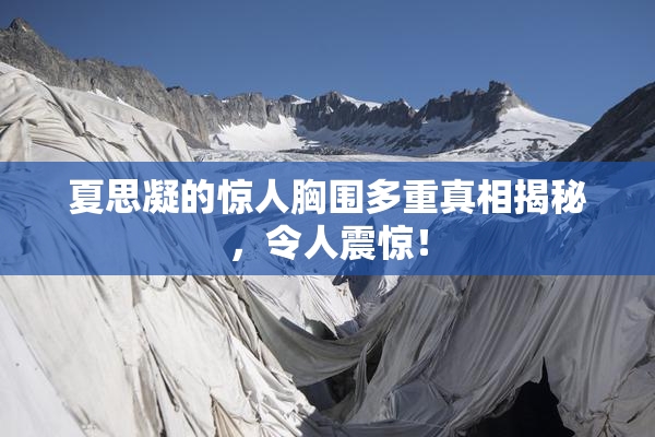 夏思凝的惊人胸围多重真相揭秘，令人震惊！