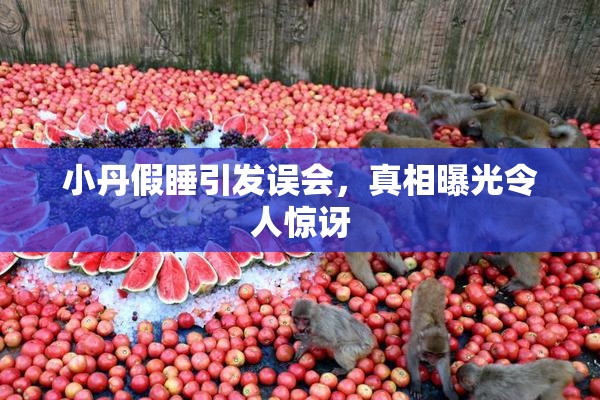 小丹假睡引发误会，真相曝光令人惊讶