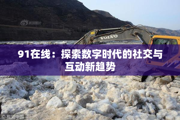 91在线：探索数字时代的社交与互动新趋势
