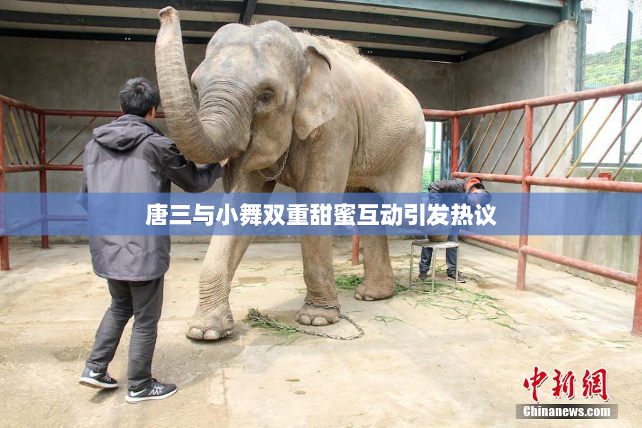 唐三与小舞双重甜蜜互动引发热议