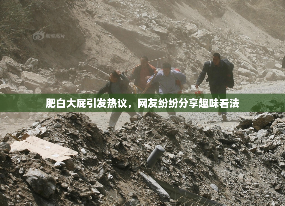 肥白大屁引发热议，网友纷纷分享趣味看法
