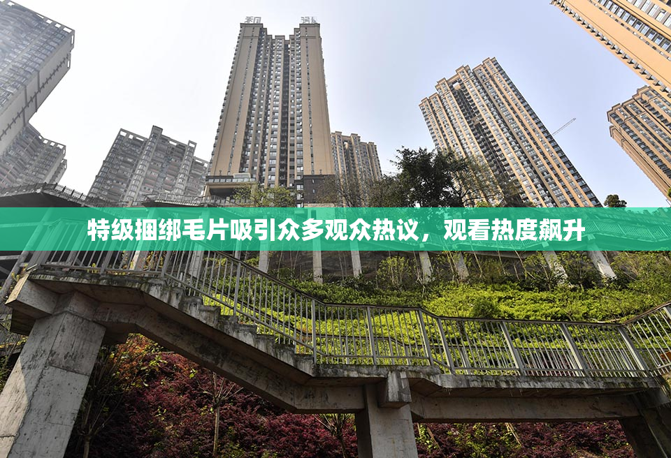 特级捆绑毛片吸引众多观众热议，观看热度飙升
