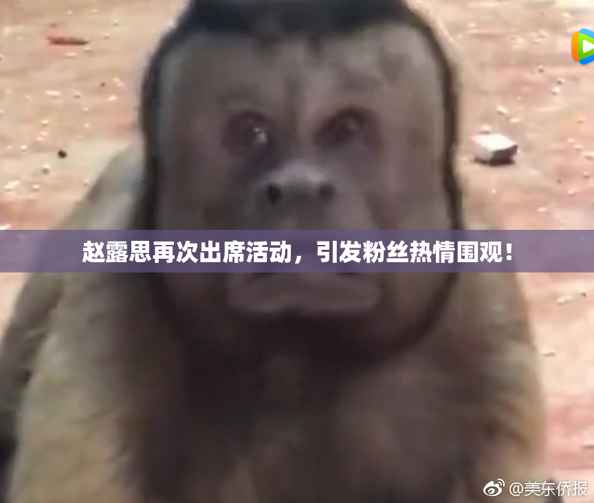 赵露思再次出席活动，引发粉丝热情围观！