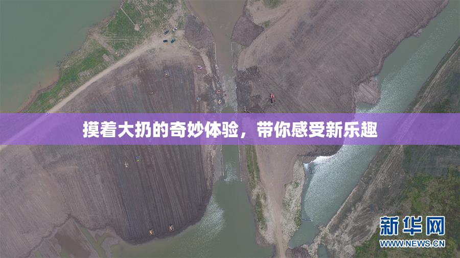 摸着大扔的奇妙体验，带你感受新乐趣