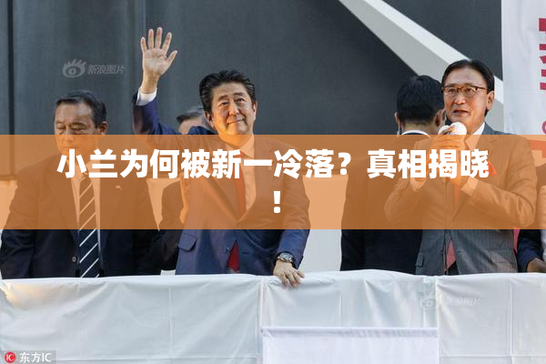小兰为何被新一冷落？真相揭晓！